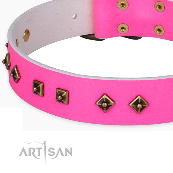 Extraordinary full grain natural leather collar for your attractive four-legged friend
