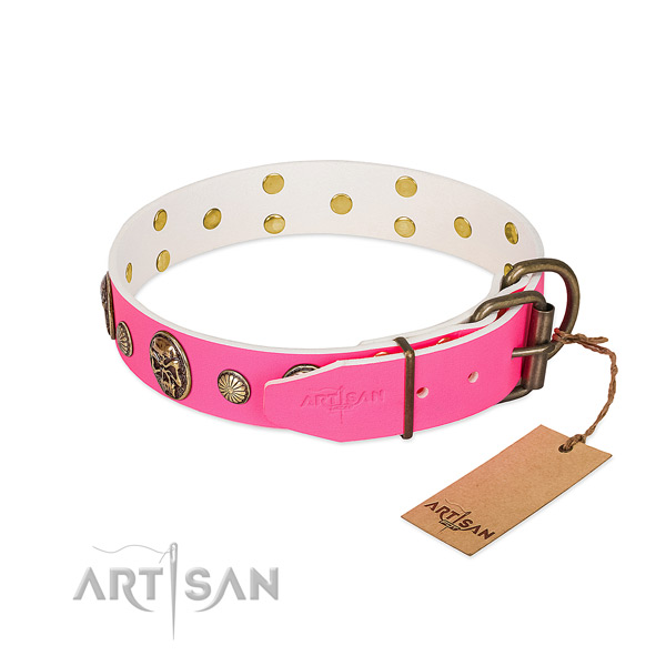 Durable embellishments on full grain natural leather dog collar for your four-legged friend