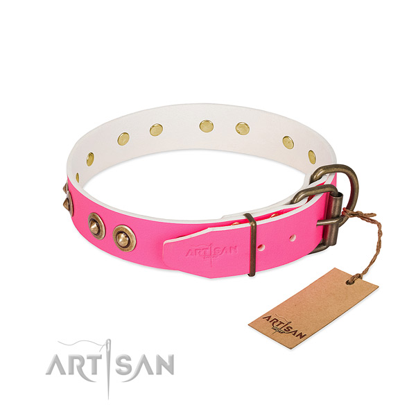 Full grain leather dog collar with reliable traditional buckle and embellishments
