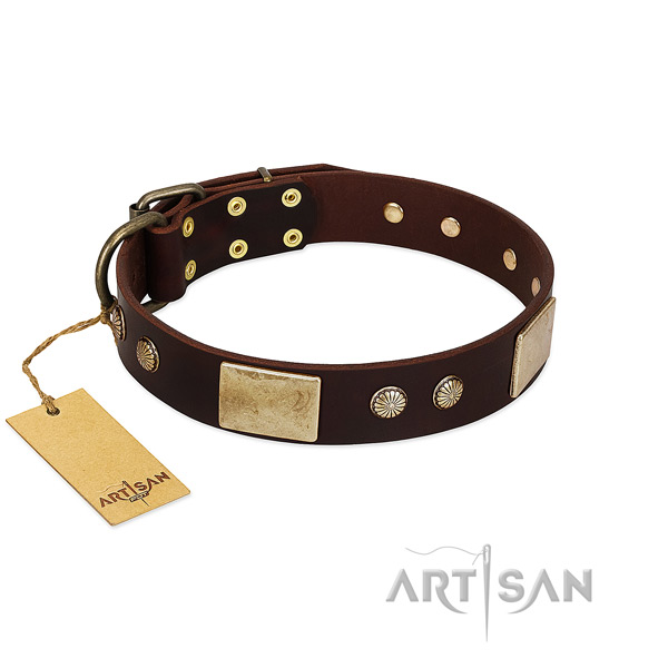 Easy wearing genuine leather dog collar for stylish walking your doggie