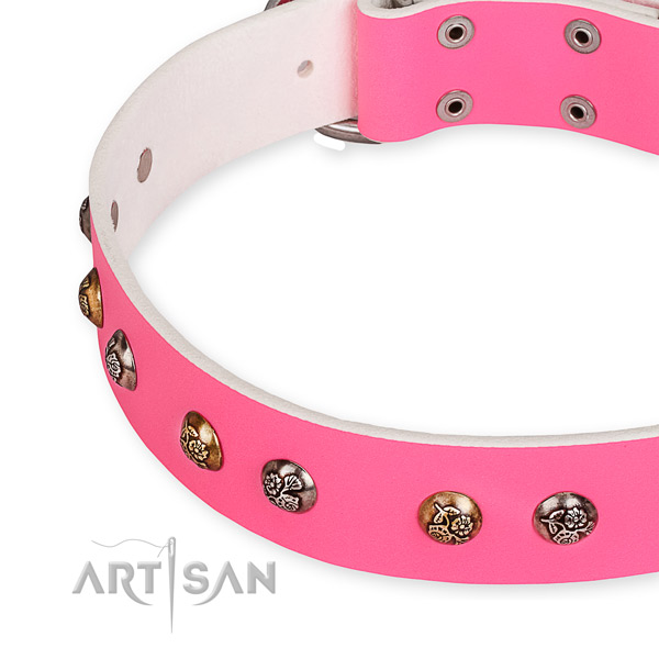 Genuine leather dog collar with trendy reliable decorations