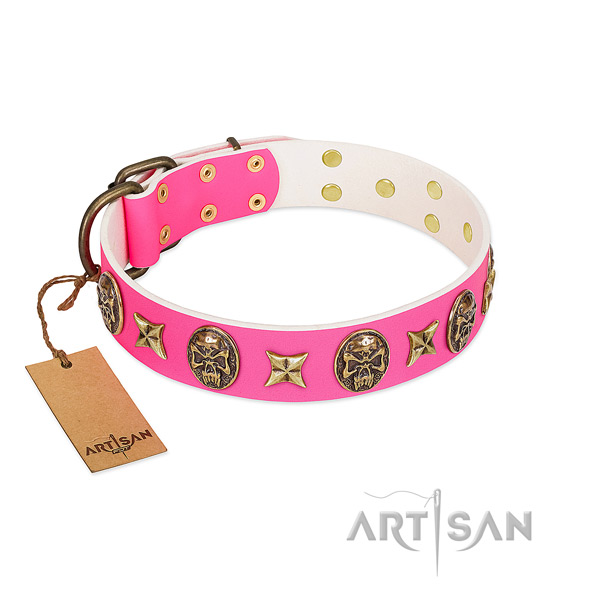 Full grain leather dog collar with corrosion resistant studs