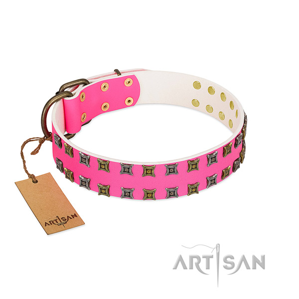 Genuine leather collar with remarkable embellishments for your canine