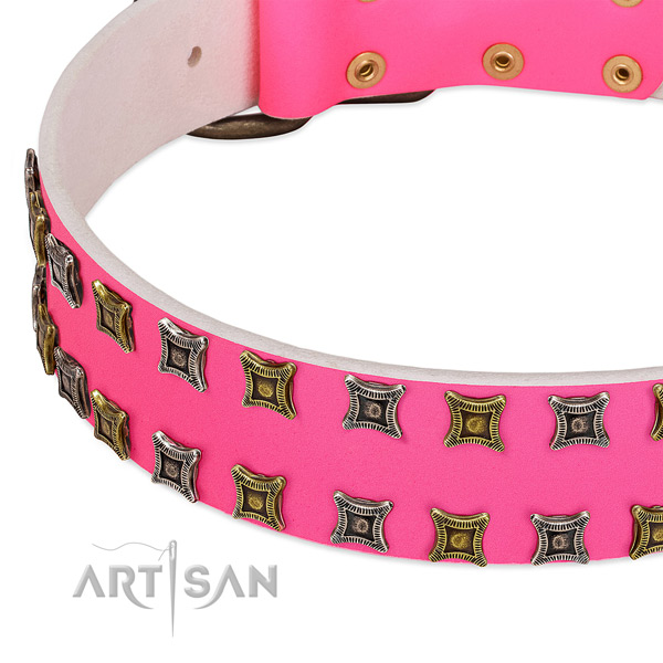Natural leather dog collar with amazing decorations