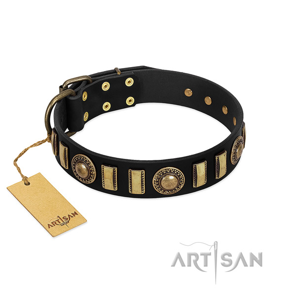 High quality leather dog collar with reliable traditional buckle