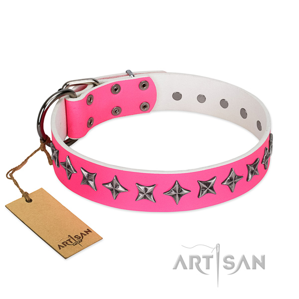 Strong genuine leather dog collar with significant embellishments