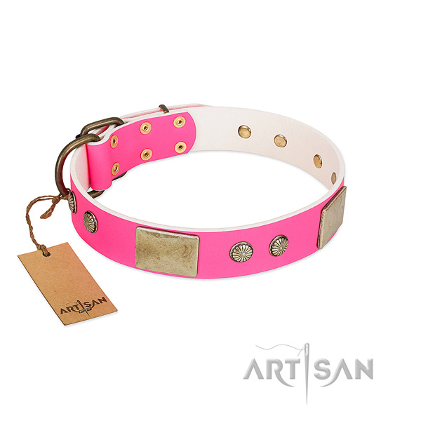 Easy wearing leather dog collar for everyday walking your dog