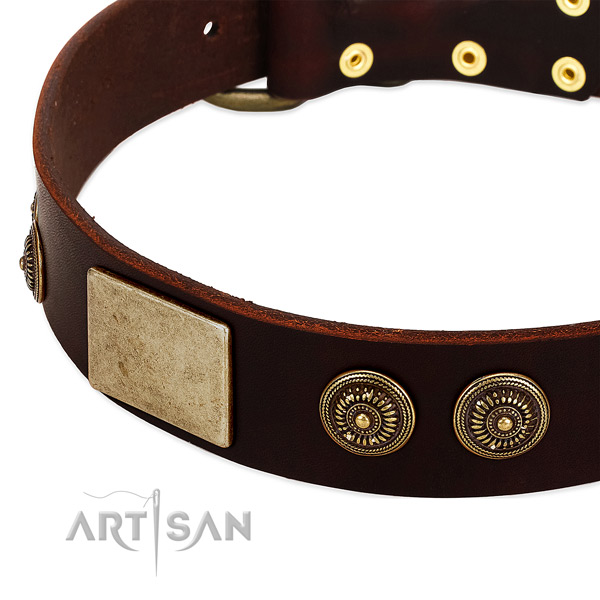 Reliable decorations on full grain natural leather dog collar for your dog