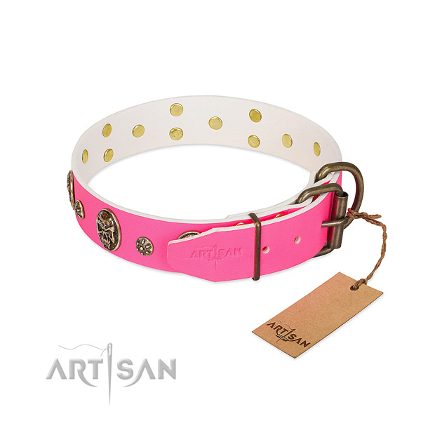 Rust resistant buckle on full grain genuine leather collar for daily walking your pet