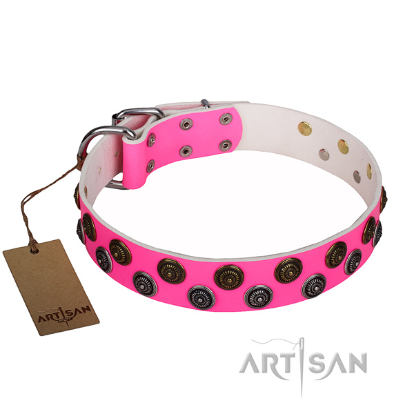 Everyday walking dog collar of top quality natural leather with decorations