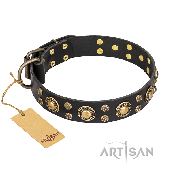 Comfy wearing dog collar of top notch full grain genuine leather with decorations