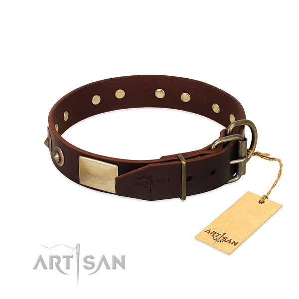 Strong hardware on daily use dog collar