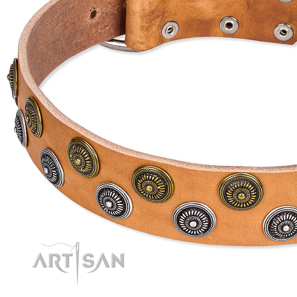 Daily walking adorned dog collar of fine quality natural leather