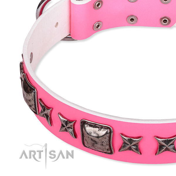 Fancy walking studded dog collar of reliable full grain genuine leather