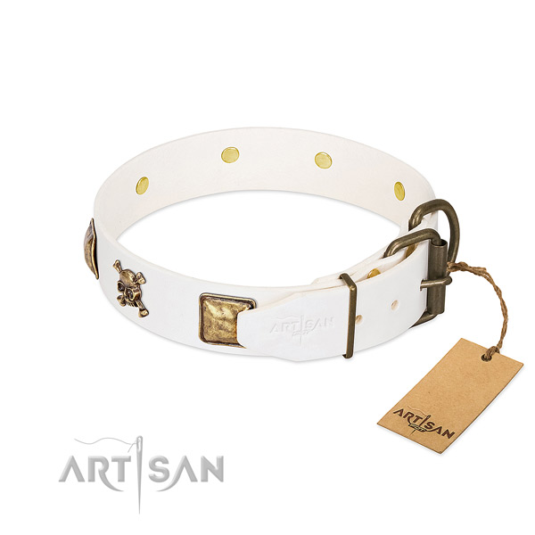 Everyday walking natural leather dog collar with amazing studs