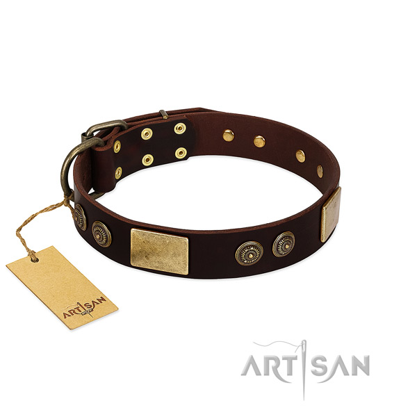 Corrosion proof traditional buckle on genuine leather dog collar for your canine