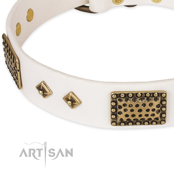 Corrosion proof adornments on genuine leather dog collar for your dog