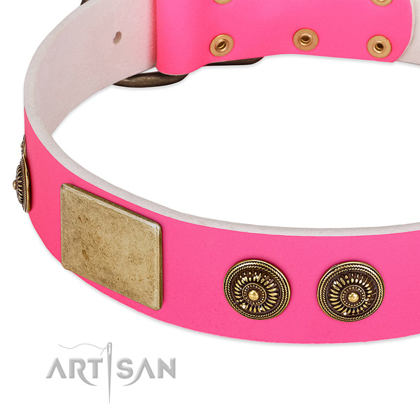 Unique dog collar crafted for your stylish four-legged friend