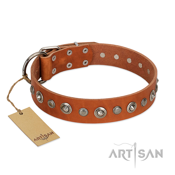 Top notch full grain natural leather dog collar with significant adornments