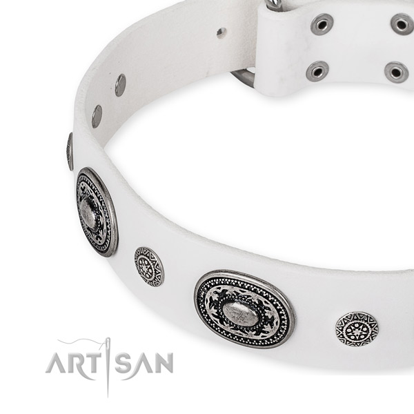 Durable genuine leather dog collar crafted for your attractive canine