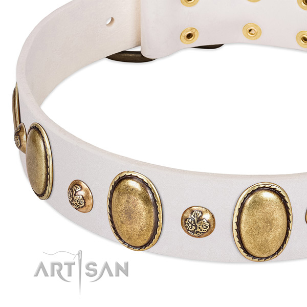Genuine leather dog collar with amazing decorations