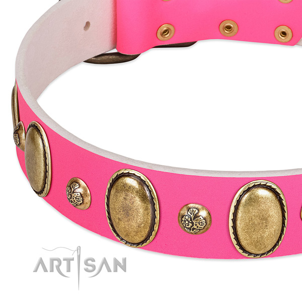 Everyday use top rate full grain natural leather dog collar