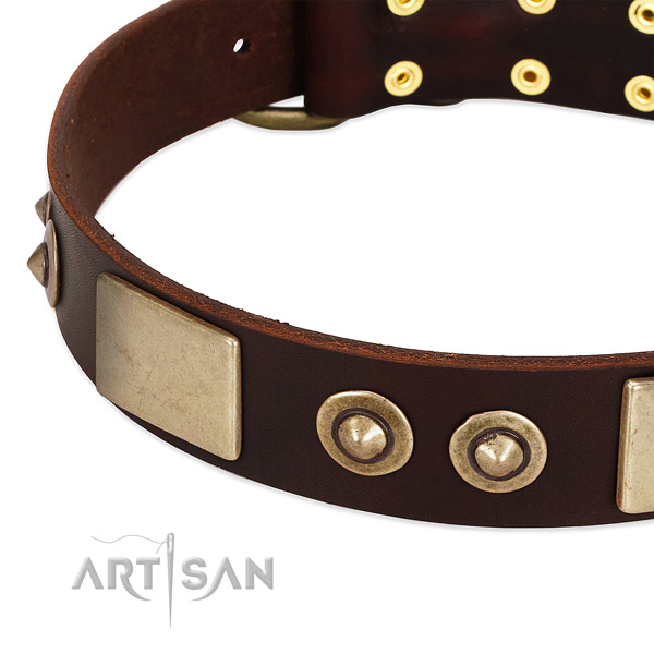 Rust-proof traditional buckle on full grain leather dog collar for your pet