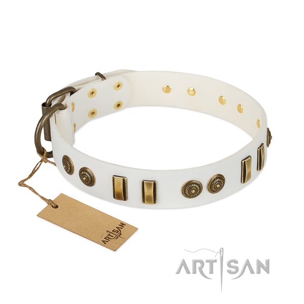Corrosion proof traditional buckle on full grain leather dog collar for your canine