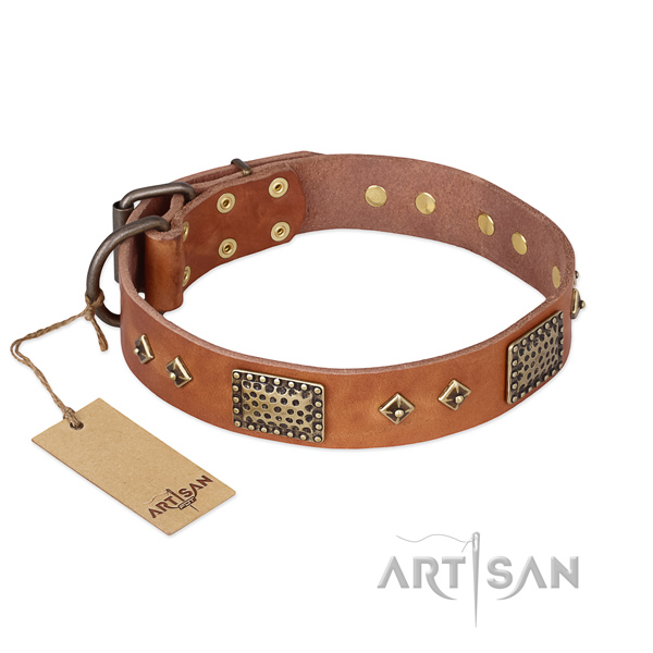 Fine quality full grain natural leather dog collar for fancy walking