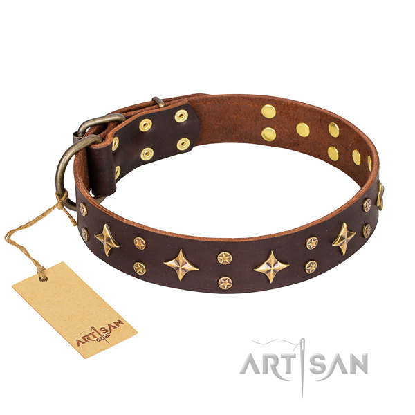 Basic training dog collar of strong genuine leather with embellishments
