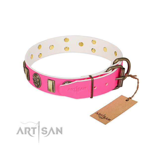 Corrosion resistant adornments on leather dog collar for your dog