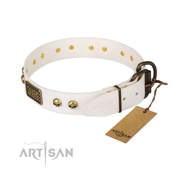 Adjustable full grain natural leather dog collar for everyday walking your canine