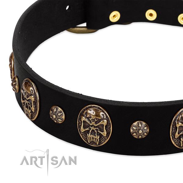 Rust-proof adornments on full grain natural leather dog collar for your dog
