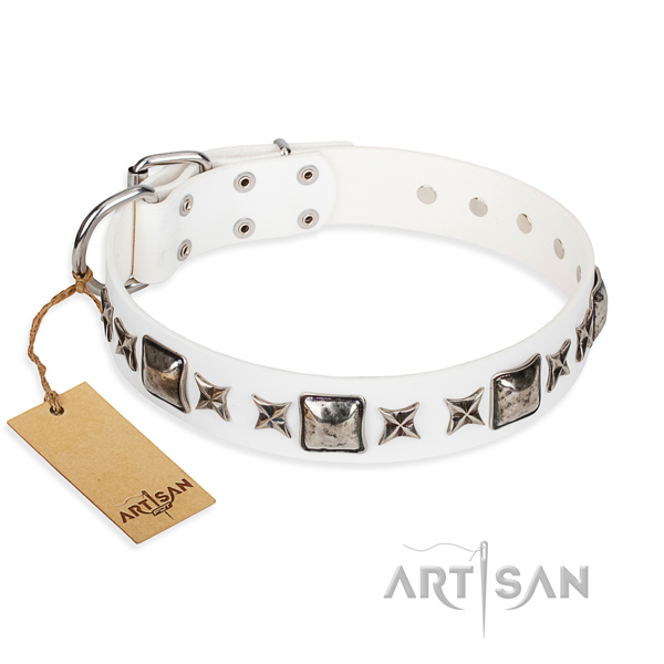 Basic training dog collar of best quality full grain leather with studs