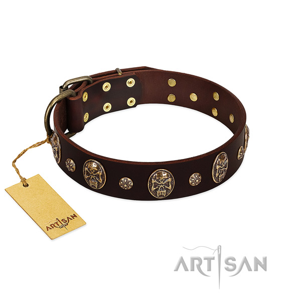 Stylish genuine leather collar for your canine