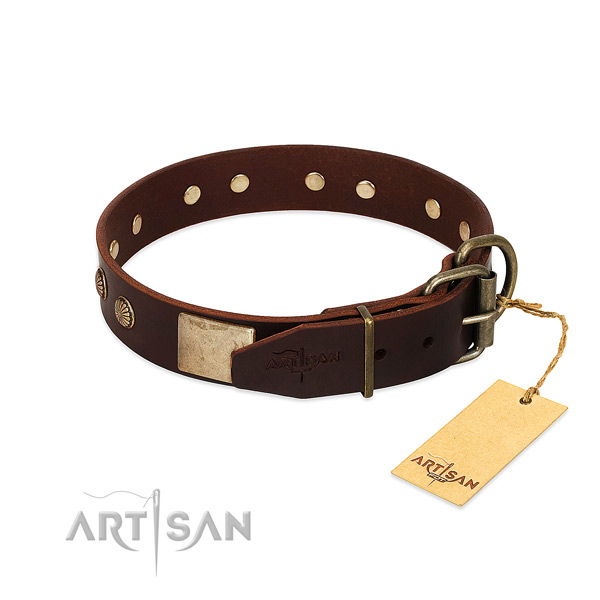 Rust resistant buckle on basic training dog collar