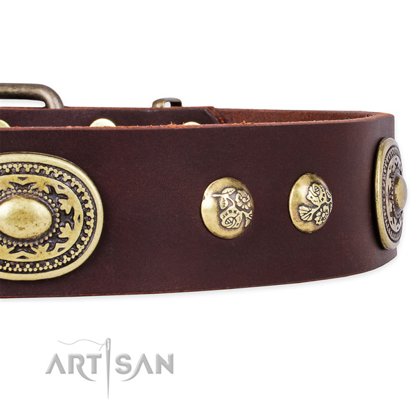 Easy wearing full grain leather collar for your beautiful four-legged friend