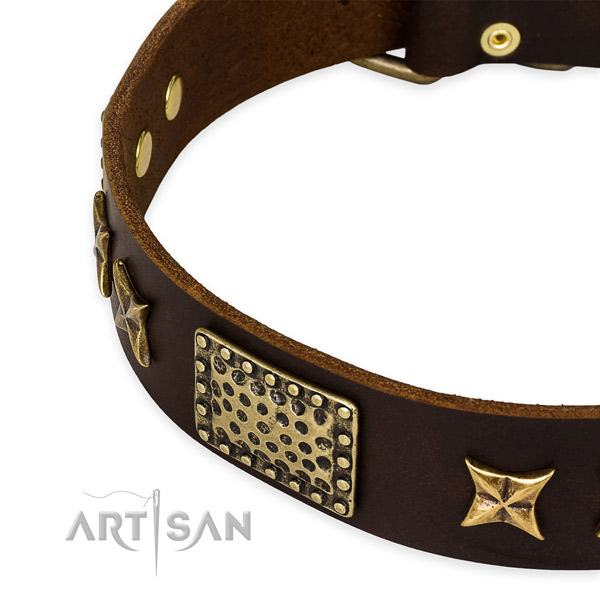 Full grain genuine leather collar with reliable hardware for your stylish dog