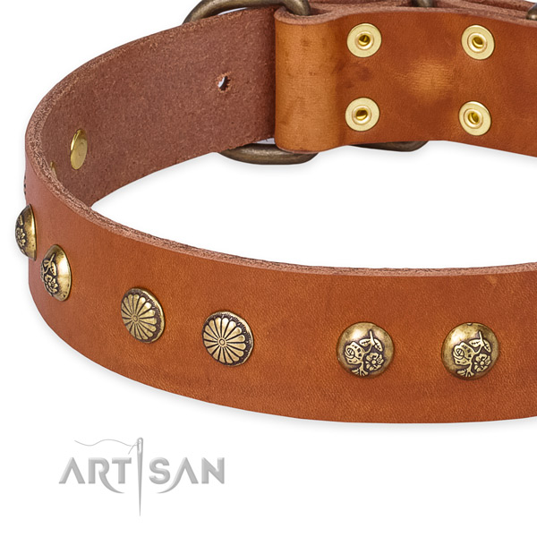 Full grain leather collar with reliable fittings for your lovely canine