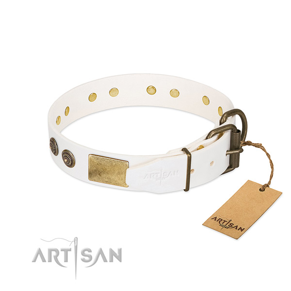 Strong hardware on full grain leather collar for walking your canine