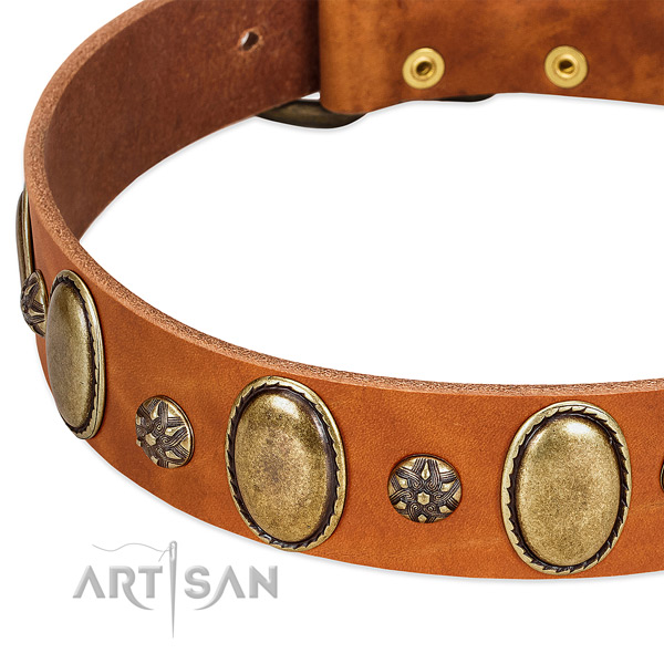 Daily use flexible genuine leather dog collar