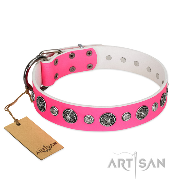 Reliable full grain leather dog collar with corrosion resistant D-ring