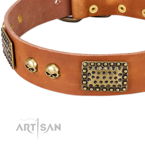 Strong fittings on natural leather dog collar for your doggie