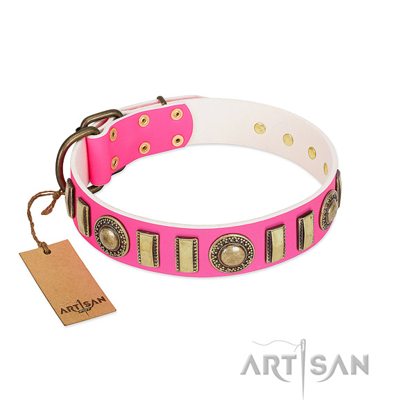 Stylish design full grain natural leather dog collar with corrosion proof hardware