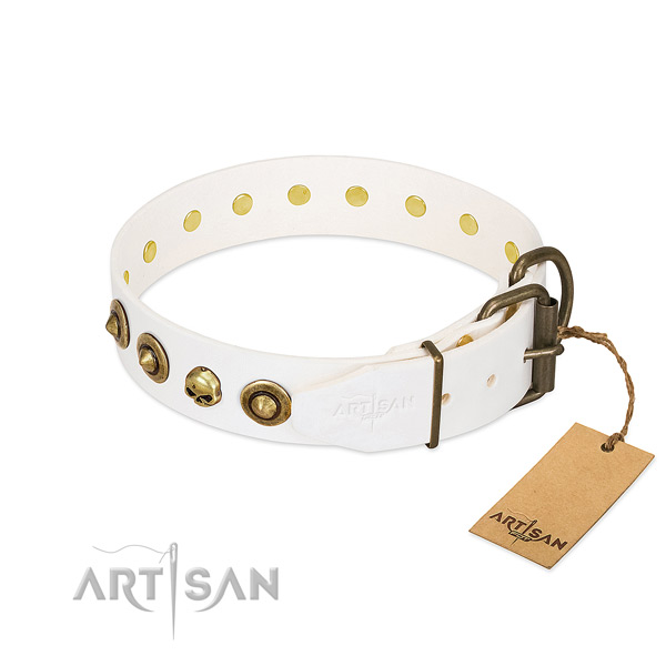 Natural leather collar with impressive decorations for your canine