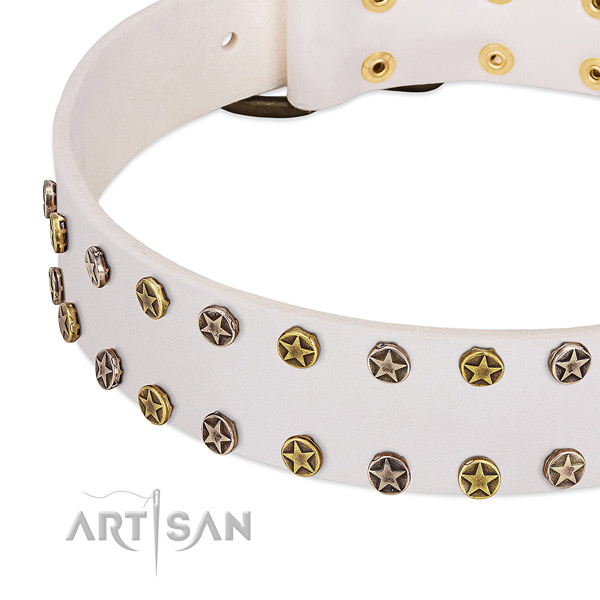 Stylish design studs on genuine leather collar for your pet