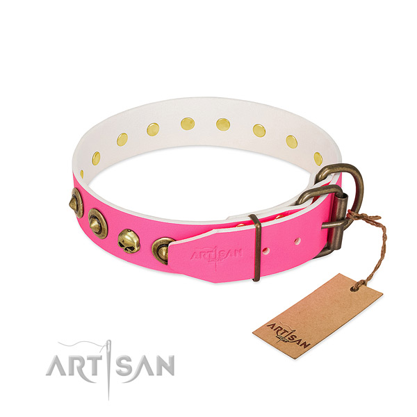 Full grain leather collar with amazing adornments for your four-legged friend