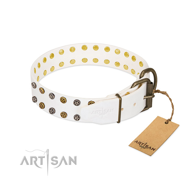 Extraordinary full grain leather dog collar with corrosion proof decorations