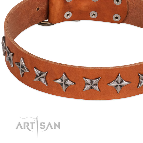 Comfortable wearing embellished dog collar of finest quality genuine leather