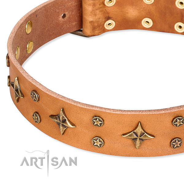 Comfy wearing decorated dog collar of finest quality leather